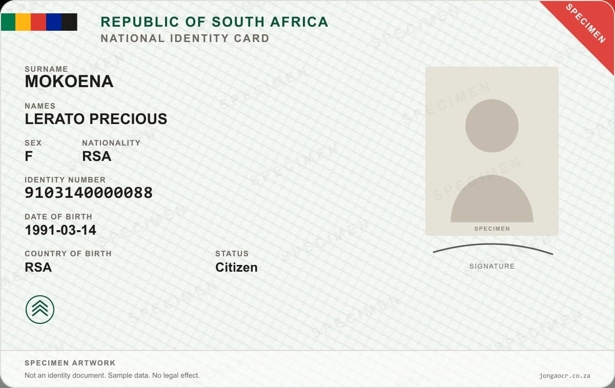 Specimen artwork of a South African national identity card, showing the surname, names, identity number and date of birth fields that Jonga OCR reads